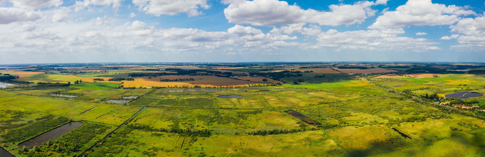 Kopie von Unbenanntes Design (85)